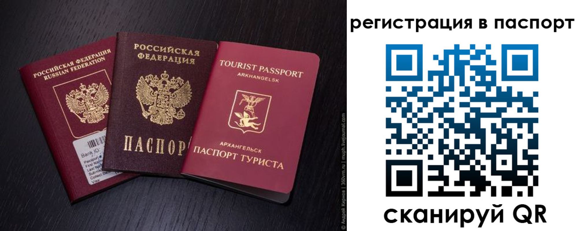 прописка в квартире в Котовске
